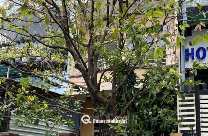 Bán nhà 2 tầng hẻm Biệt Thự Nha Trang, 12 tỷ sở hữu hẻm khu phố Tây Nha Trang